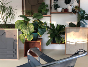 Interieur met grote kamerplanten zoals Strelitzia en Monstera voor een urban jungle sfeer