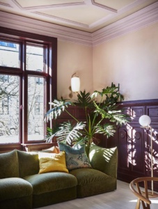 Monstera deliciosa gatenplant met iconische bladeren als grote kamerplant in boho interieur