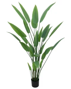 Budget interieuraccessoires - groene planten en goedkope bloempotten