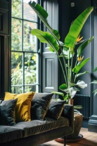 Strelitzia nicolai paradijsvogelplant als grote kamerplant in modern interieur met tropische uitstraling Grote kamerplanten: stijlvol, luchtzuiverend en trendy