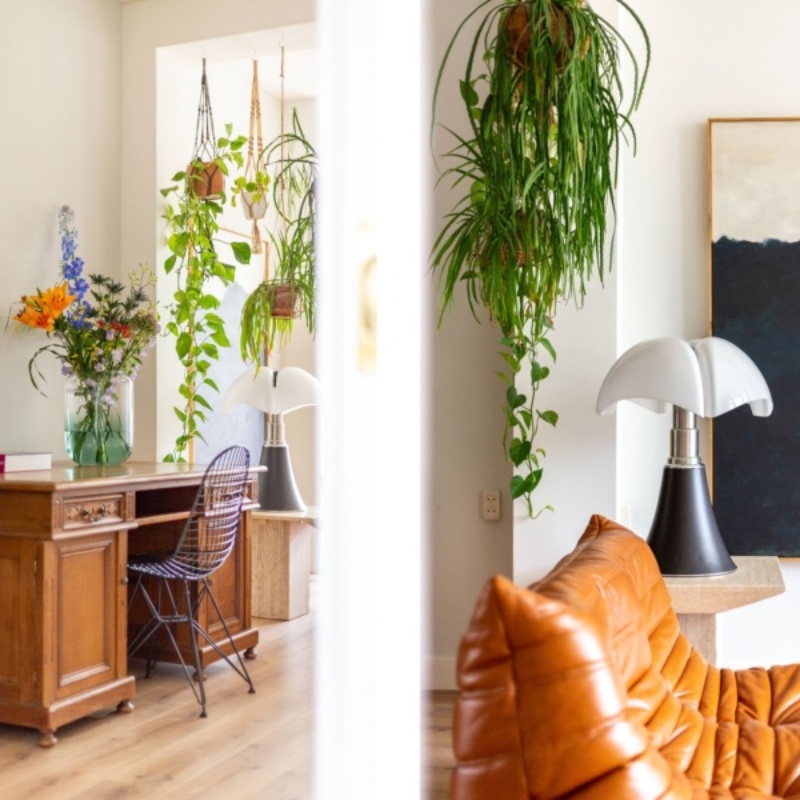 Stijlvol met een klein budget: mijn favoriete budget interieur accessoires