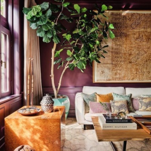 Interieur met grote kamerplanten zoals Strelitzia en Monstera voor een urban jungle sfeer