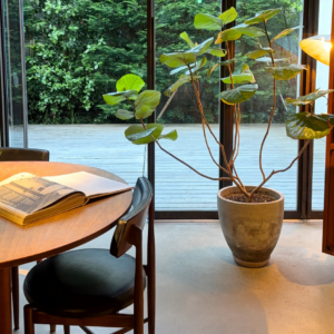 sfeervol internationaal interieur project ontwerp rotterdam vintage eclectisch
