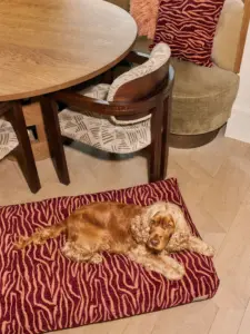 Design hondenmand met lage vorm voor een eclectisch en kleurrijk interieur