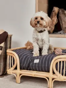 Rotan hondenmand voor een warm en natuurlijk interieur